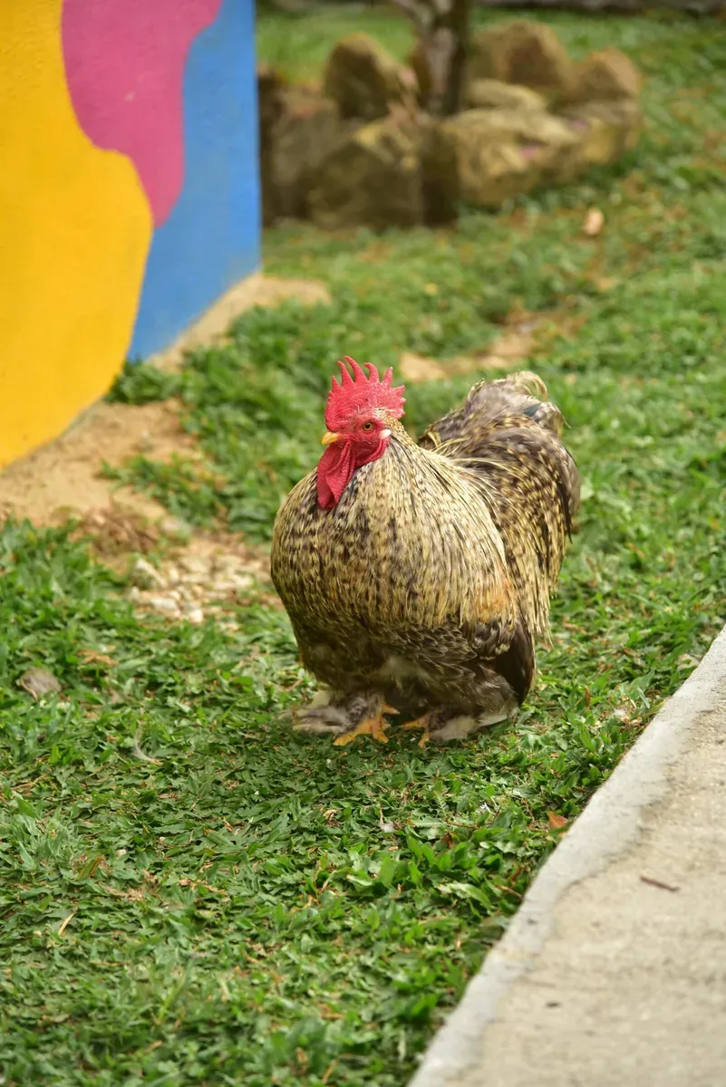 Visitor photo